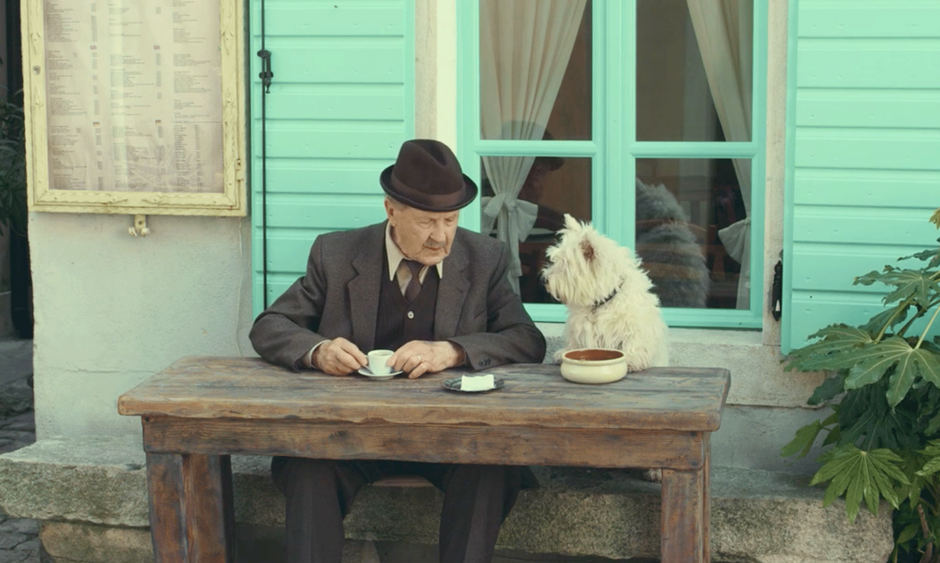 <strong>CESAR</strong> Journey